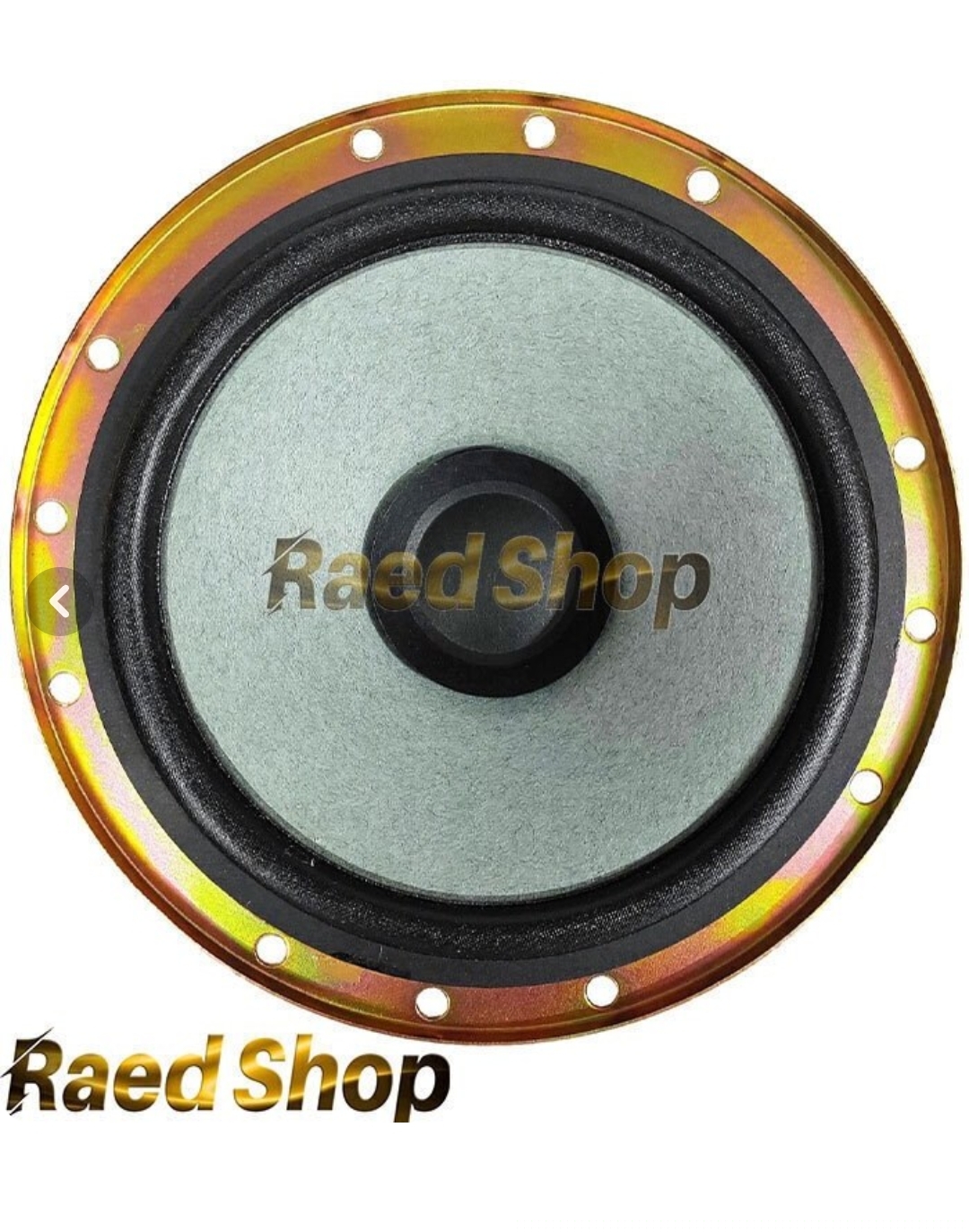 باند دایره ای پژو ساووی مدل SV651 بسته ۲ عددی قدرت ۱۰۰ وات