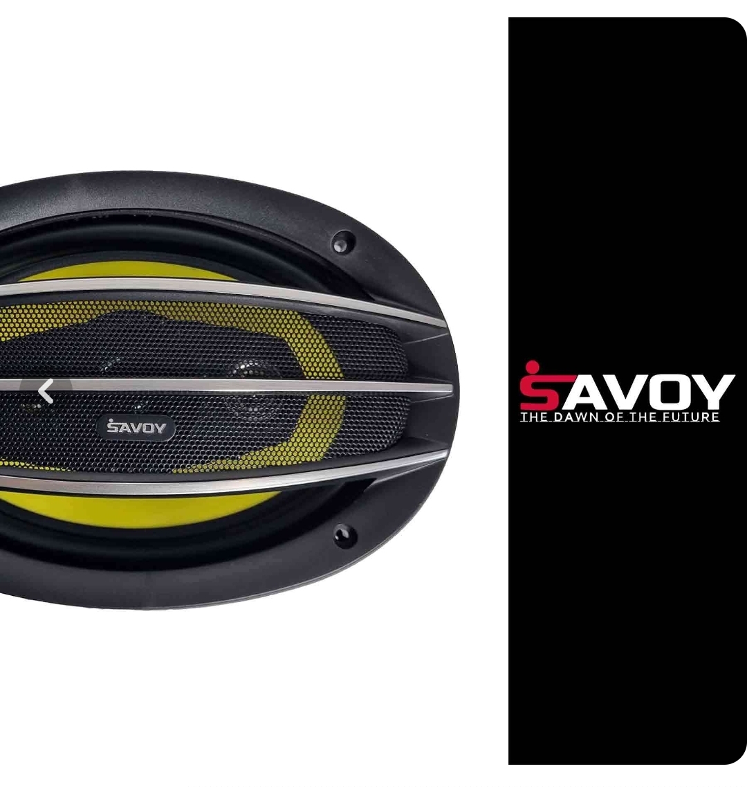 بلندگو بیضی ساووی مدل SV-6955 بسته ۲ عددی با حساسیت ۹۲ دسی بل