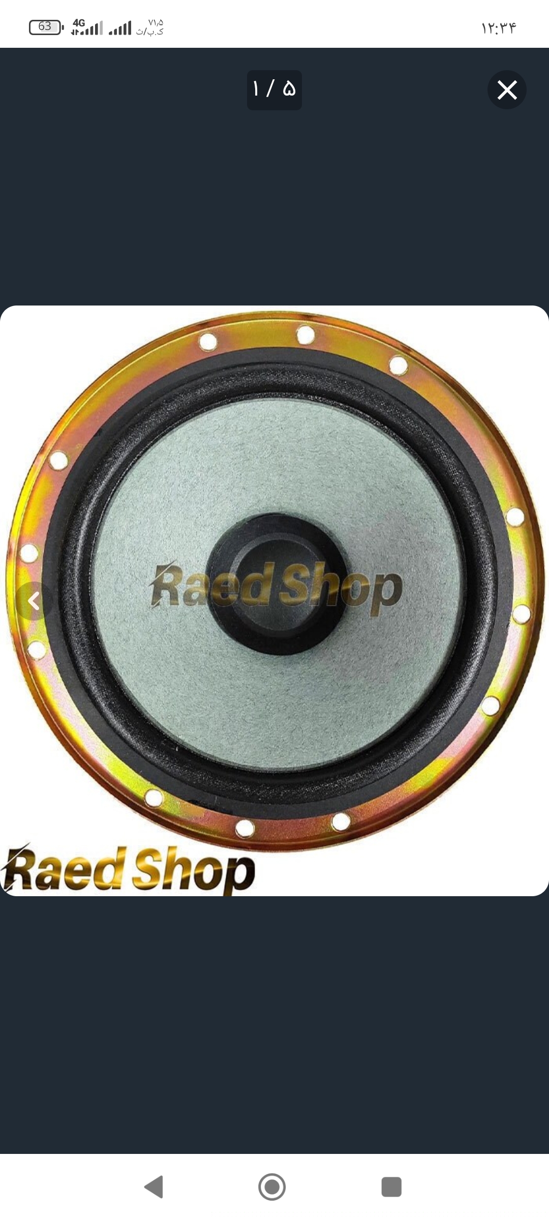 باند دایره ای پژو ساووی مدل SV651 بسته ۲ عددی قدرت ۱۰۰ وات